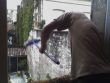 beating